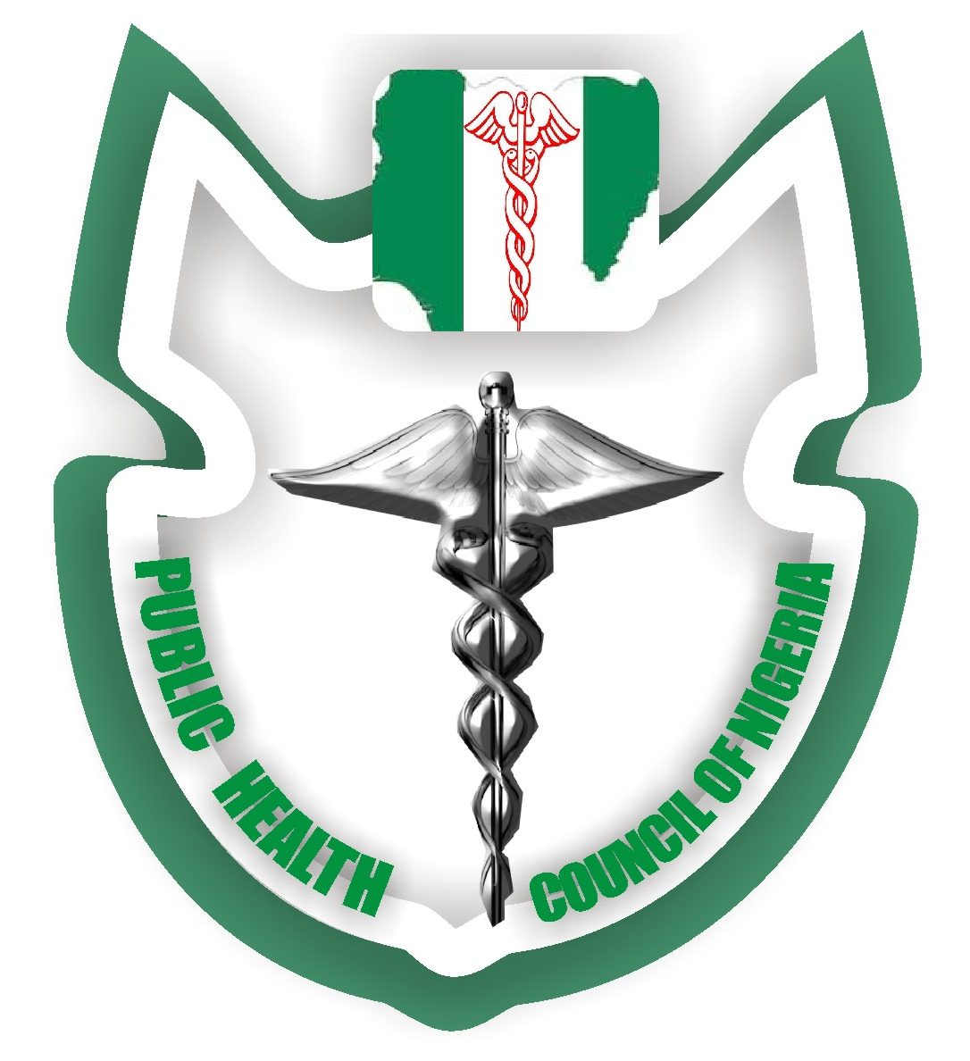 public-health-practitioners-of-nigeria-national-association-of-public